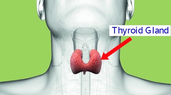 8 Common Symptoms Of Underactive Thyroid For Every One 3232